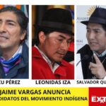 movimiento indigena Yaku Perez
