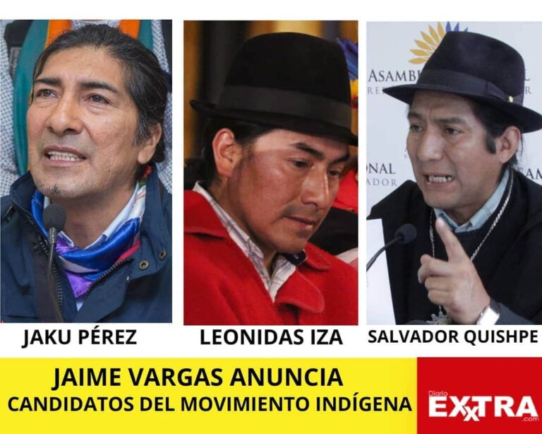 movimiento indigena Yaku Perez