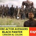 Chadwick Boseman avengers black panter civil war