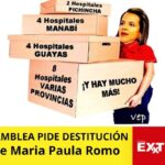 Maria Paula Romo Destitución asamblea reparto de hospitales