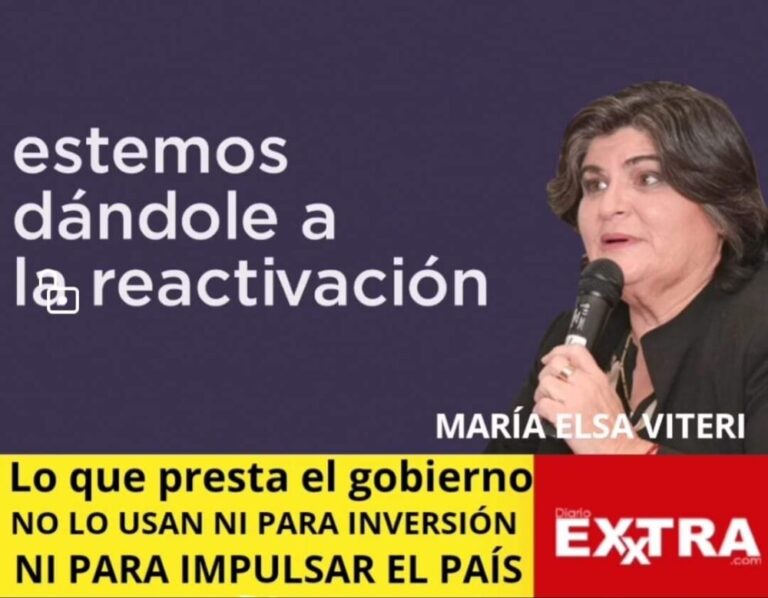Elsa Maria Viteri Lasso Elecciones 2021 crisis empleo