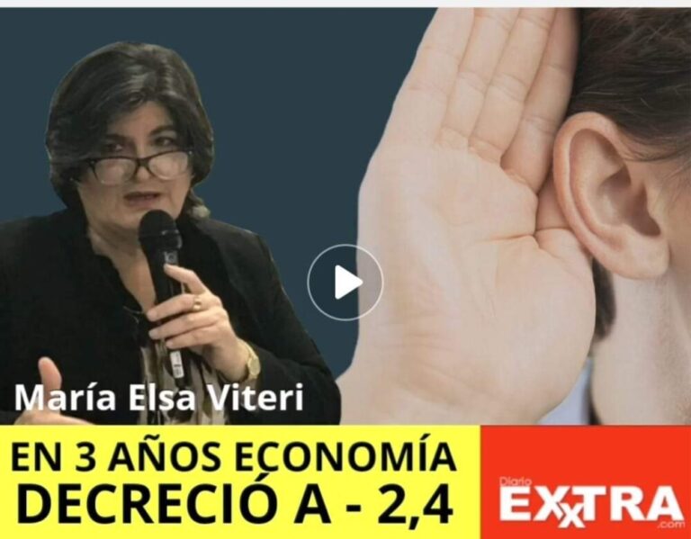 María Elsa Viteri Guillermo Lasso Andrés Arauz Economia elecciones 2021