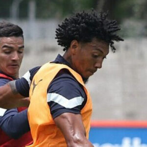 ldu1-700x391.jpg