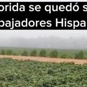 florida_videos_migrantes_ley_10_de_mayo.jpeg