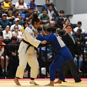 53009297968_093e8c758b_c