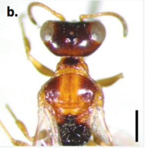 Captura de pantalla 2023-08-24 151022