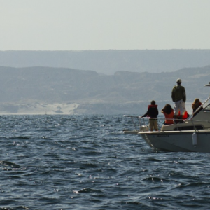 Captura de pantalla 2023-09-19 161608